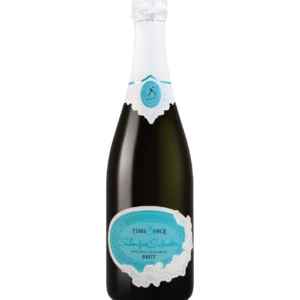 Vino Spumante di qualità metodo classico blanc de blancs brut